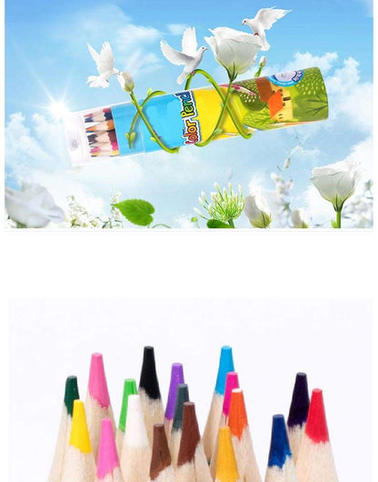 AZi® Color Pencil 12 Colors High Quality | Drawing Painting Colors Pencil | Artist Supplies Sketch Color Pencil